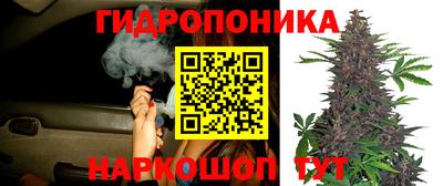 мяу мяу мука Волгодонск
