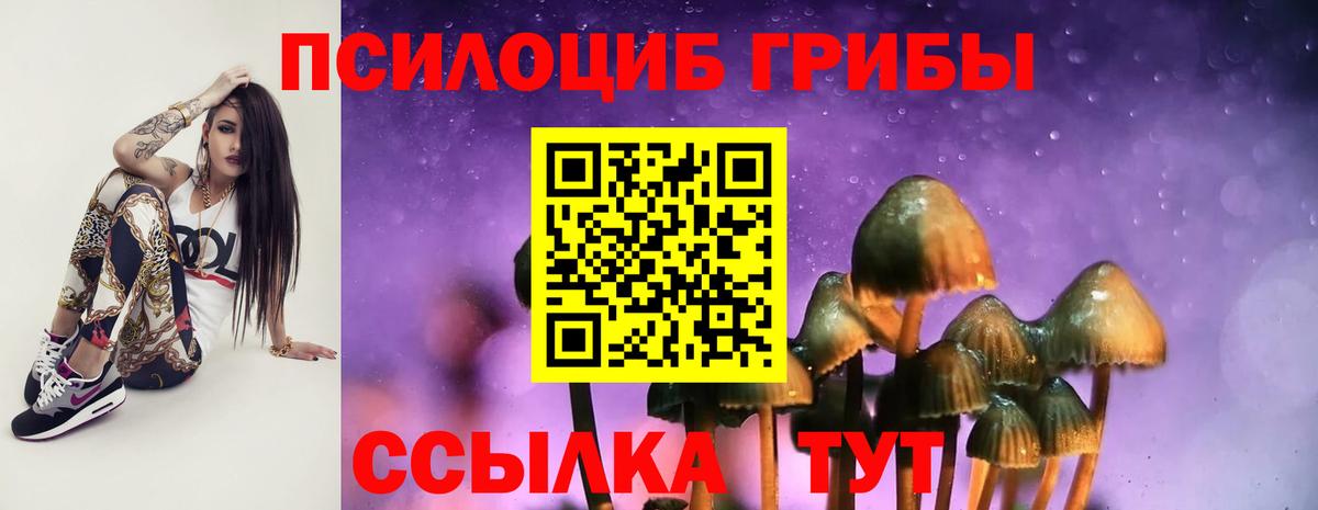 Галлюциногенные грибы мицелий  Псилоцибиновые грибы ЛСД  Бердск  Вход с VPN 